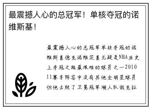 最震撼人心的总冠军！单核夺冠的诺维斯基！